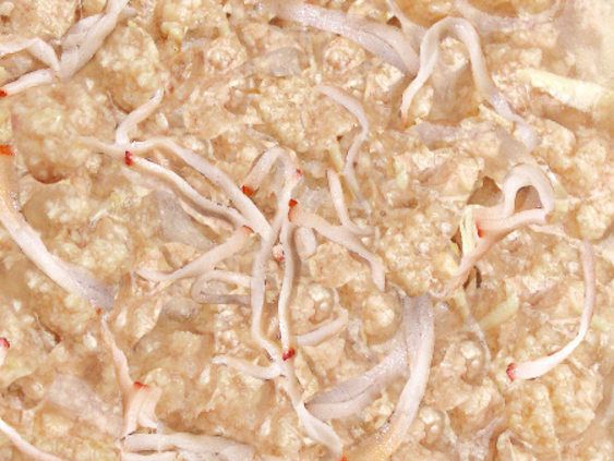 Health IN 機能貓湯罐